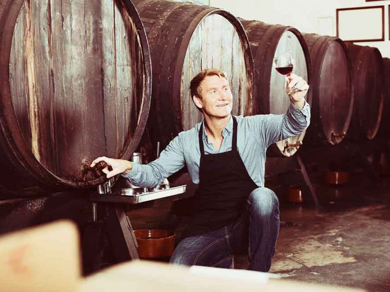 VINÁRI - Špičkové regionálne vína priamo z rúk profesionálov