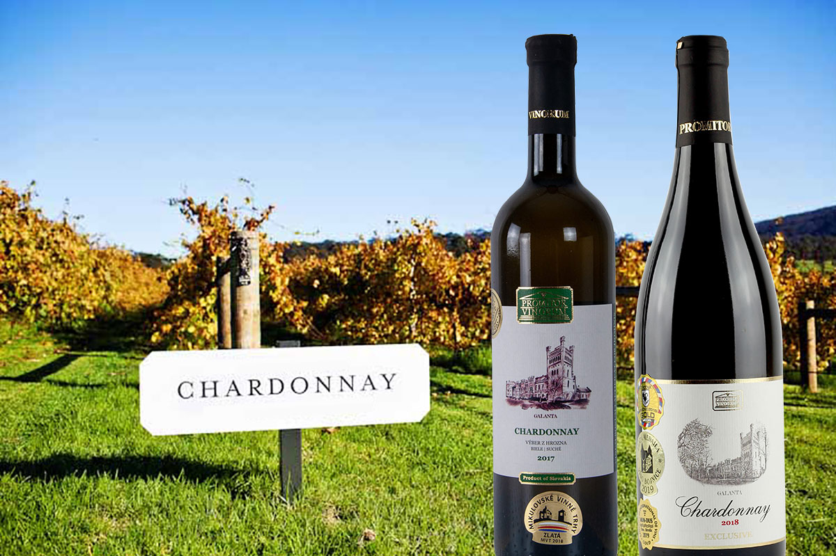 5 dôvodov, prečo milovať Chardonnay | regioWine